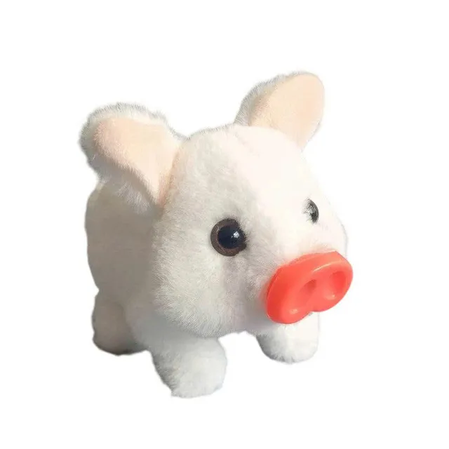 /690cf3a3ec32e1000925481a/2025/11/09/product-img-6910f8be70bd325c841fd002.png